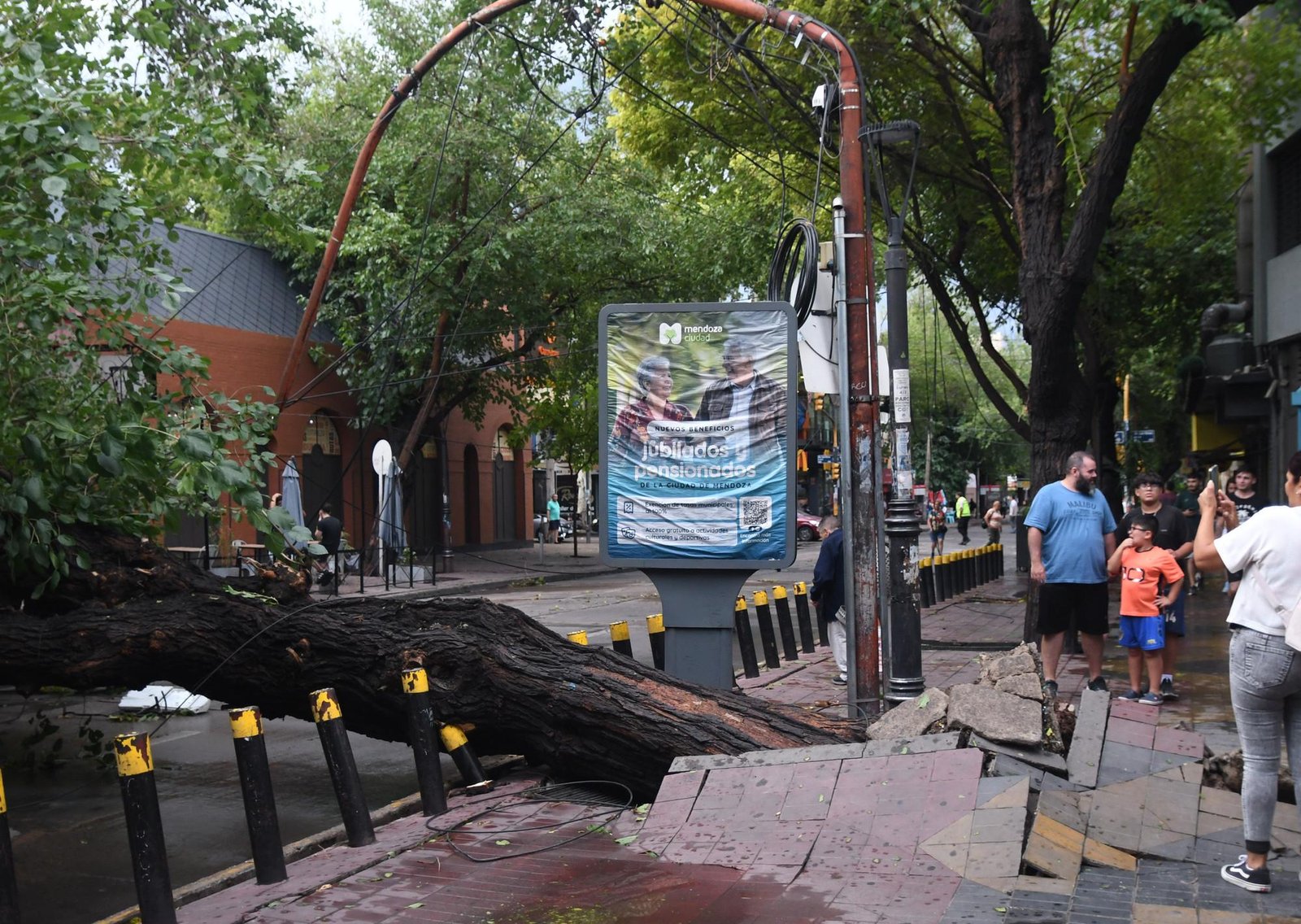 Temporal en Mendoza: granizo, inundaciones, autos arrastrados y el dramático rescate de un operario en una retroexcavadora volcada
