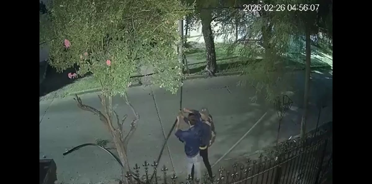 Robo insólito en Córdoba: ladrones cortaban cables y uno escapó escondiéndose detrás de un árbol