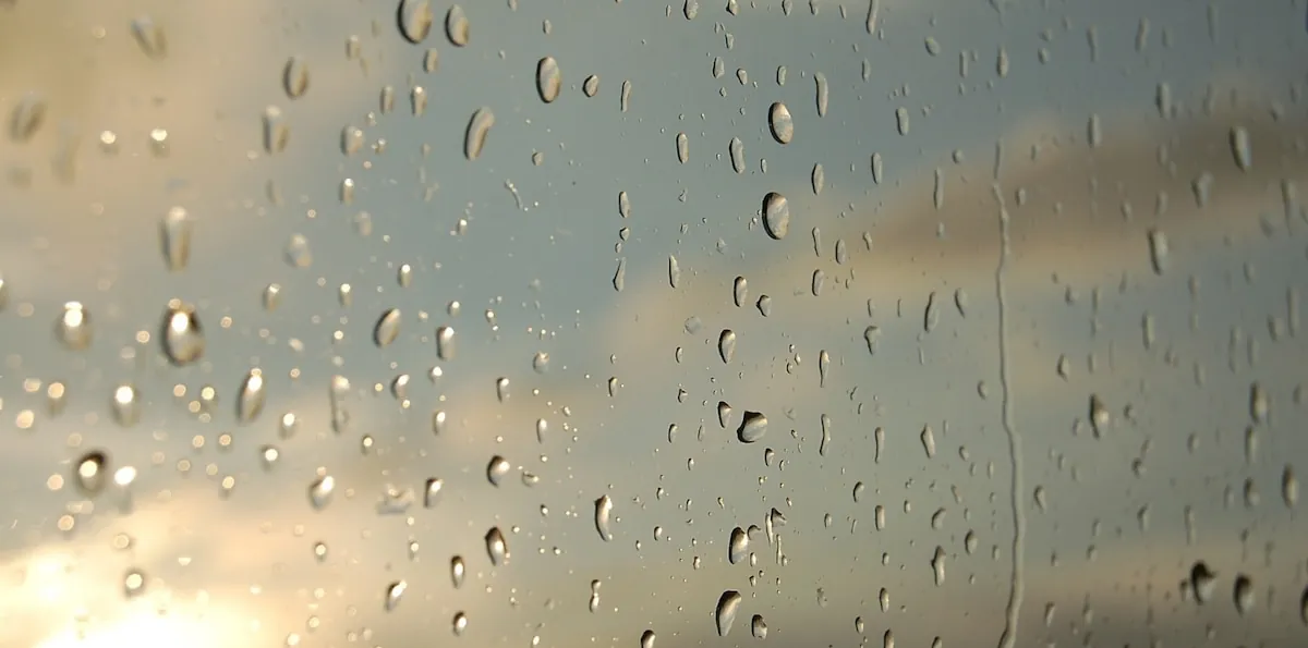 Clima en Necochea hoy: cuál es el pronóstico del tiempo para el 14 de marzo de 2026