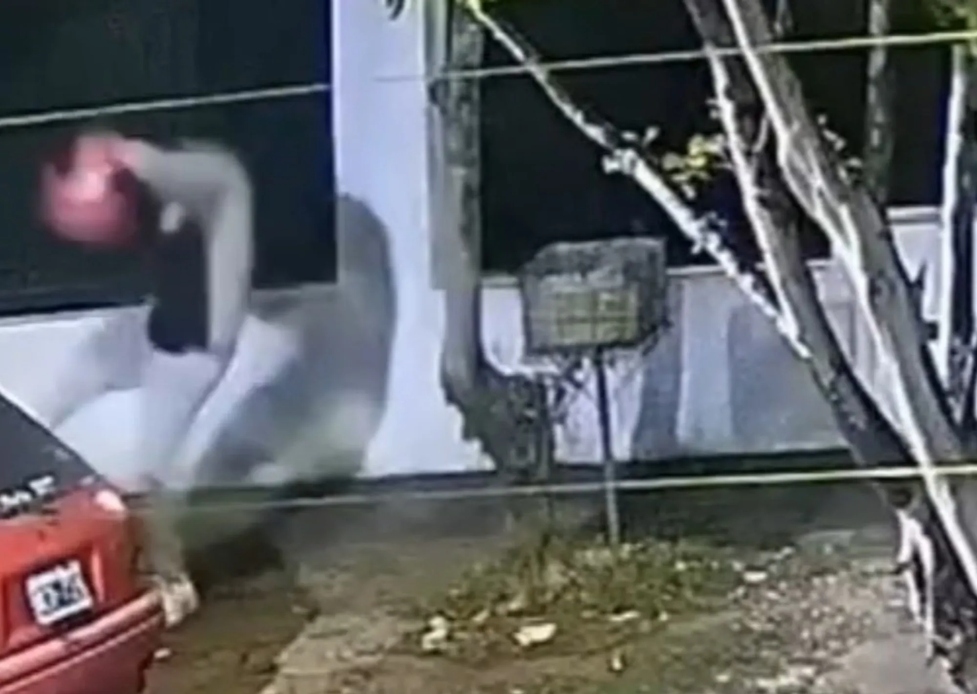 La golpeó con un casco, la pateó y la arrastró por el suelo: la brutal agresión de un hombre a su ex pareja en plena calle