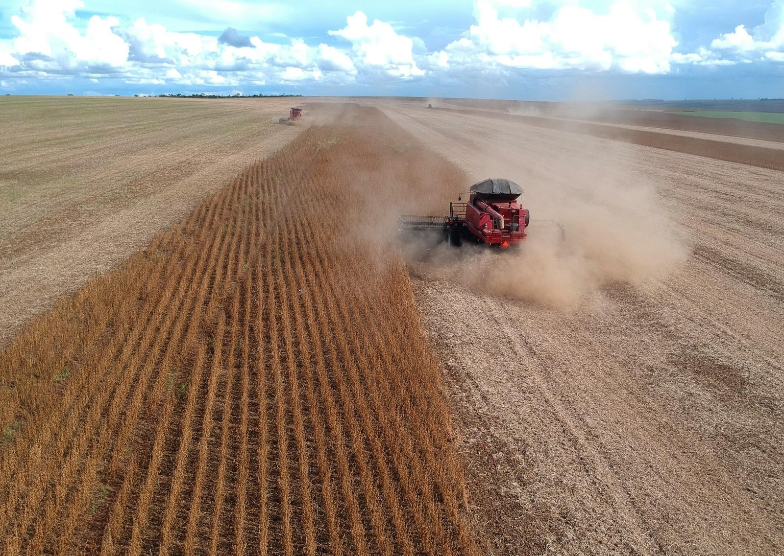 La cosecha de granos de Brasil supera todos sus récords históricos