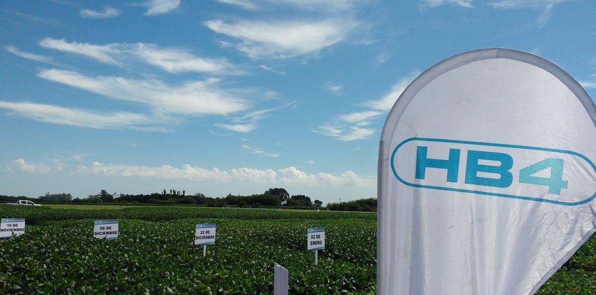 La Justicia decretó la quiebra de Bioceres S.A. en plena guerra por el control del holding