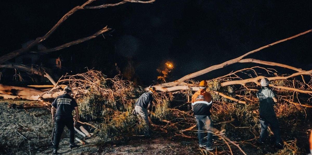 Un fuerte temporal azotó Mar del Plata: lluvia, granizo, autos destrozados y gente huyendo de la playa