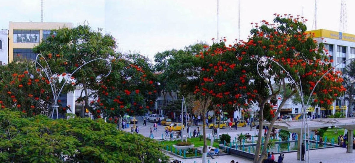 Clima en Chiclayo: la probabilidad de lluvia y las temperaturas del domingo 01 de febrero