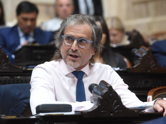 вЂњEl que pretende carrera polГ­tica fuera del plan de Milei es un desagradecido y un imbГ©cilвЂќ, el contundente mensaje de Bertie Benegas Lynch que agita la interna libertaria