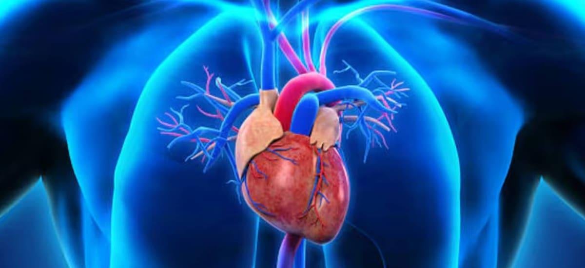 Ni correr ni caminata rápida: el ejercicio que mejora la capacidad pulmonar, cuida el corazón y ayuda a la circulación