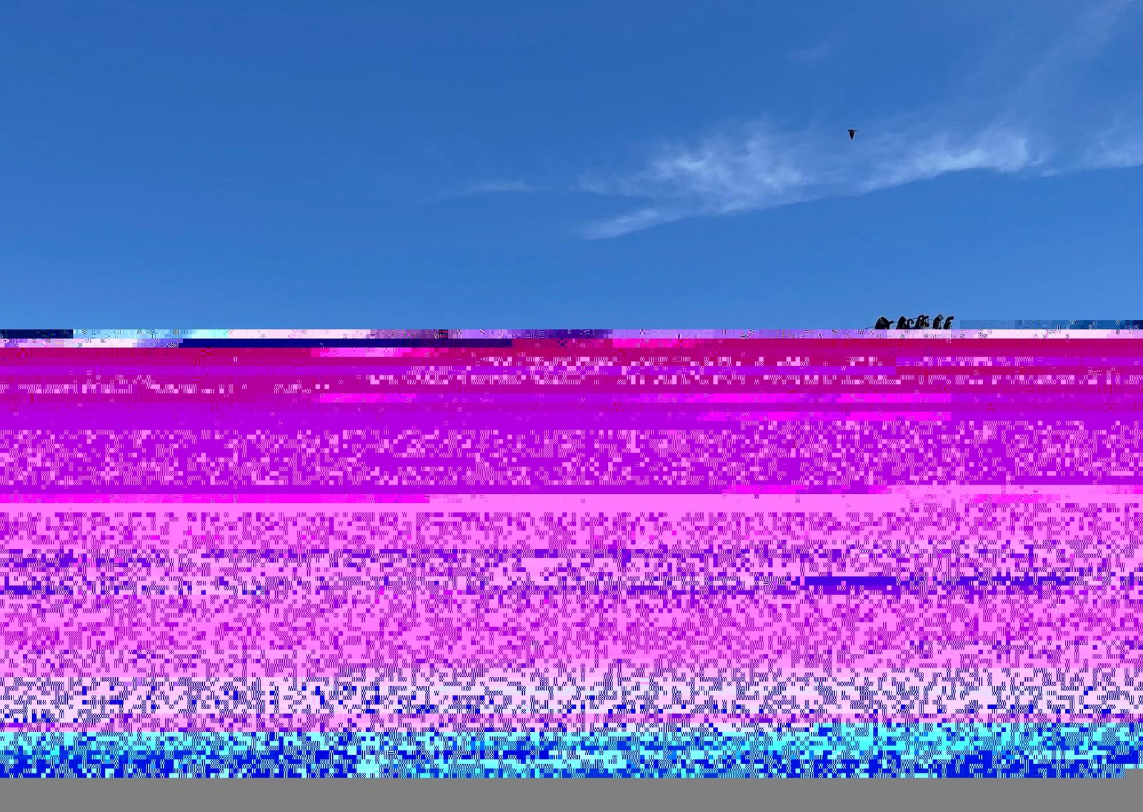 Peligran dos reformas de Milei por la guerra en Irán y un fallo judicial