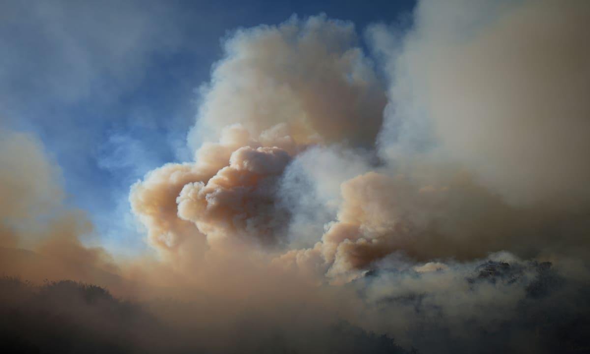 Humo de incendios forestales causa 24.100 muertes anuales en EEUU, dice estudio