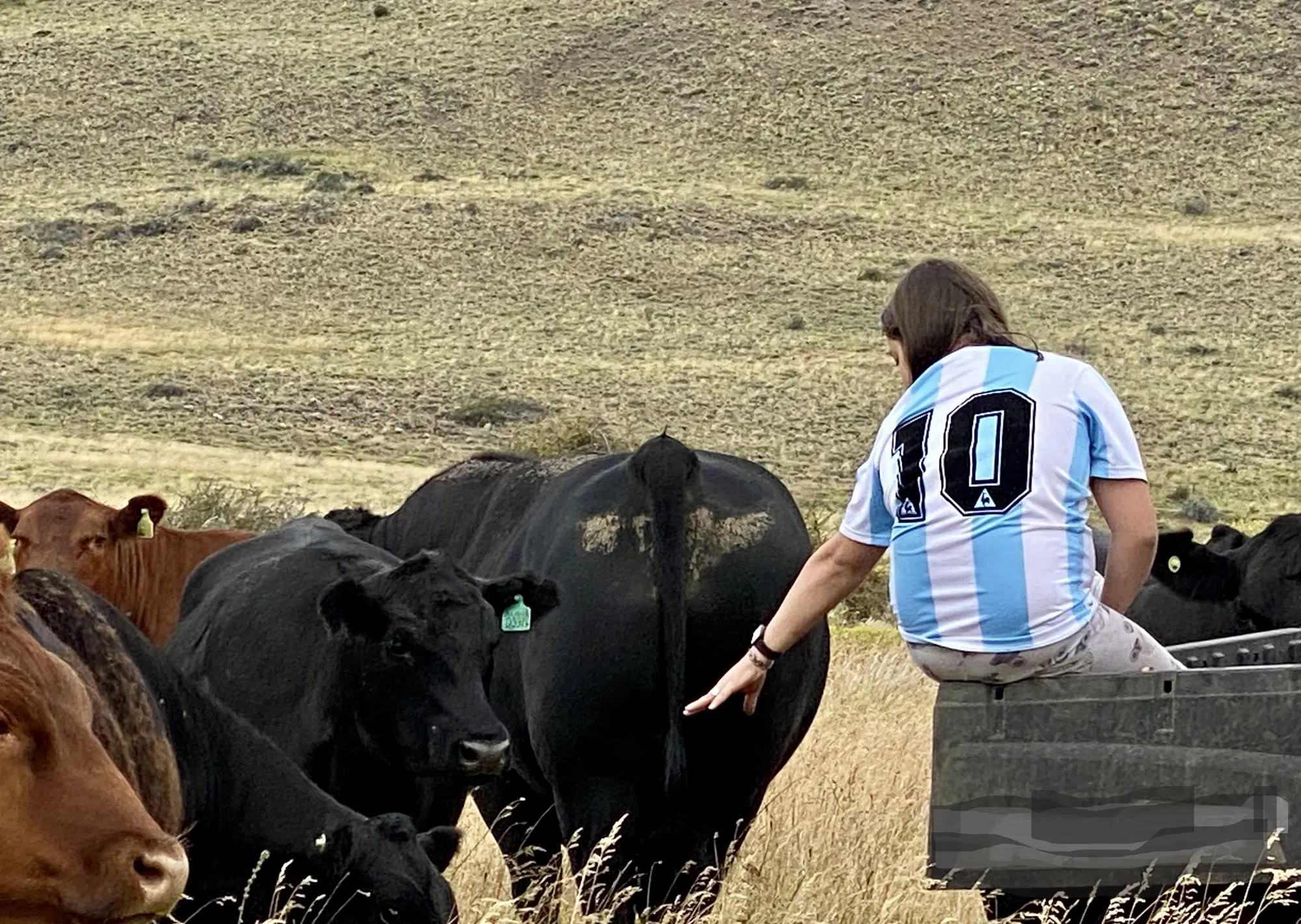 En la Expo Rural, el Gobierno lanzó créditos a valor producto para genética ganadera con los beneficios del RIMI