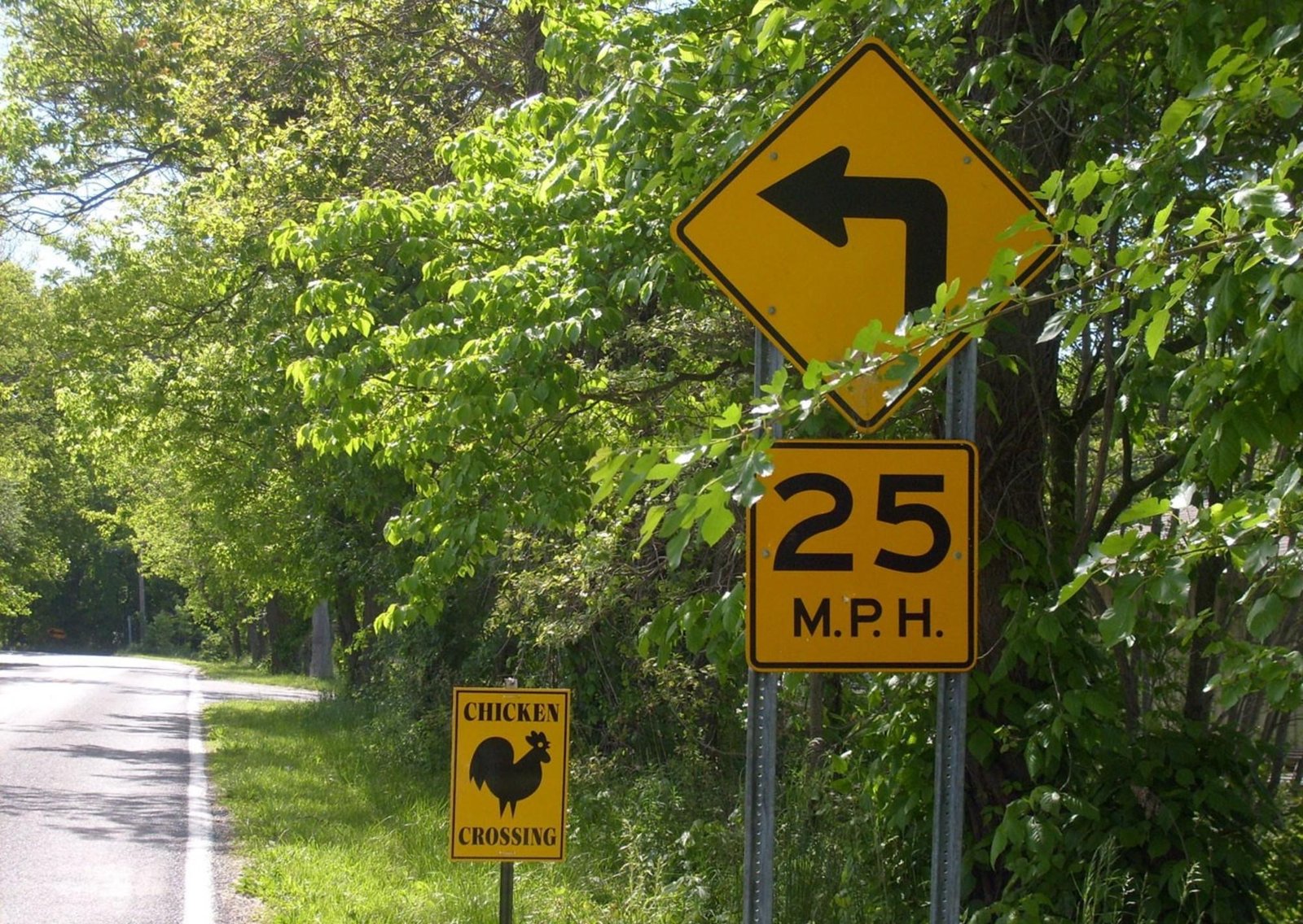 ¿Qué significa la señal "CURVE AHEAD" con límite de velocidad y cuál es la diferencia con el límite máximo de la vía?