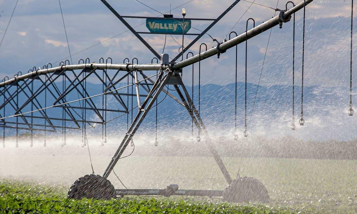 Salió con la reforma laboral: qué cambia con el RIMI, la ambiciosa apuesta del Gobierno para las medianas inversiones