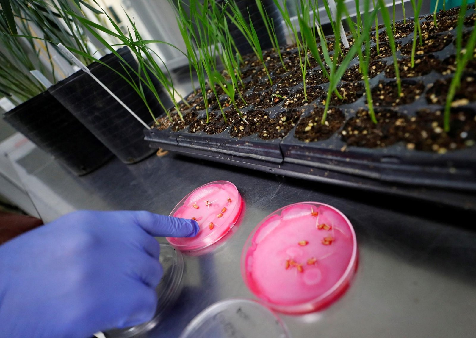 Bioceres pidió su propia quiebra en medio de fuertes acusaciones cruzadas