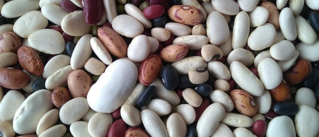 Las legumbres tuvieron un 2025 récord, pero con serios desafíos por delante