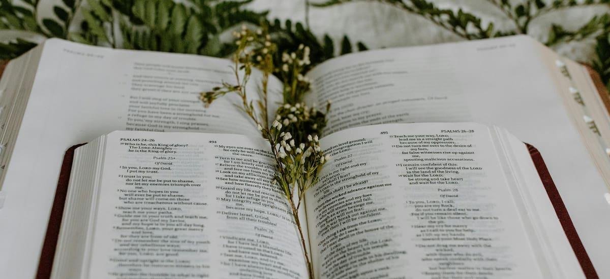 Día de San Gabriel de la Dolorosa: la oración para tener su guía y protección este viernes
