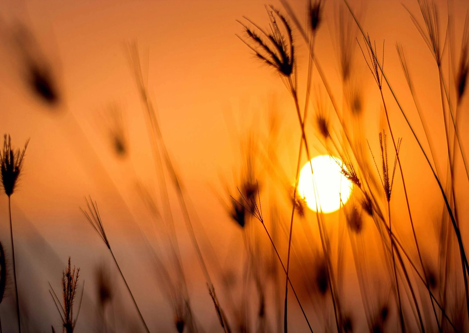Clima hoy en Mazatlán, México: el pronóstico del tiempo para este viernes 27 febrero de 2026
