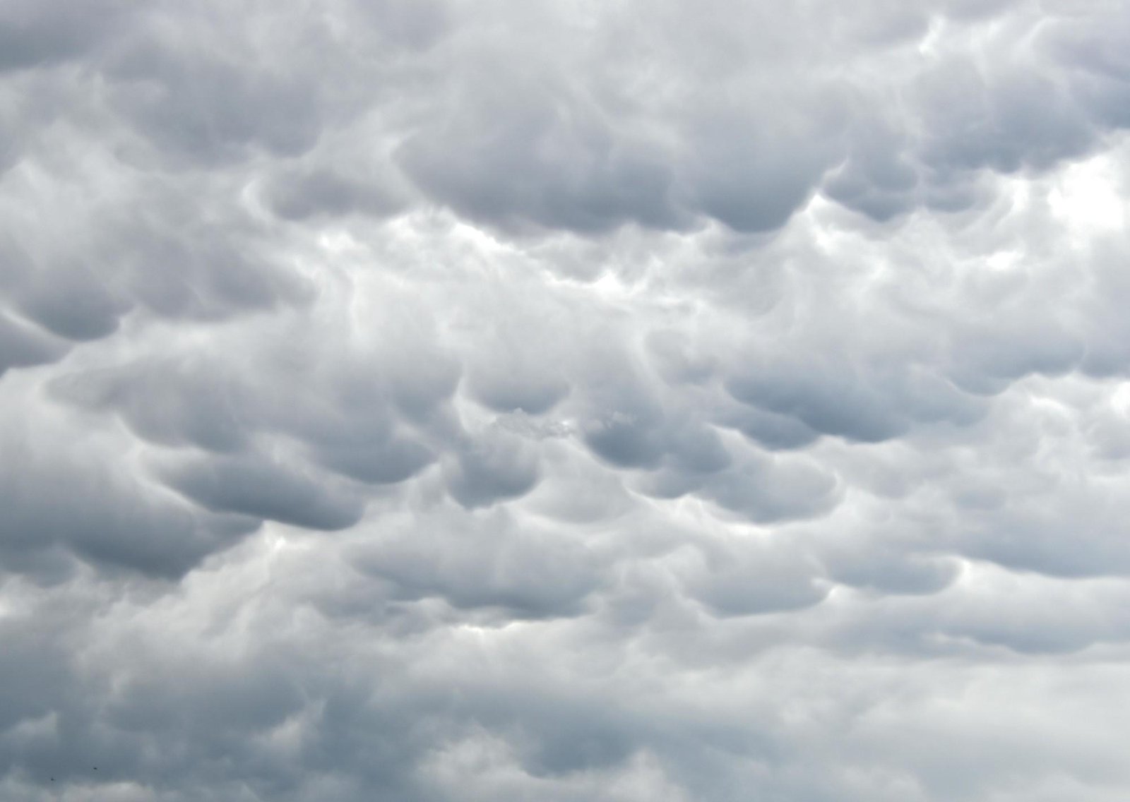 Clima hoy en Carmelo, Uruguay: el pronóstico del tiempo para este viernes 30 enero de 2026