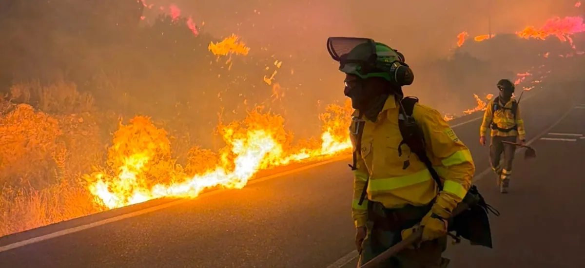 Aumentan a doce los fallecidos en el incendio forestal de Los Gallardos (Almería)
