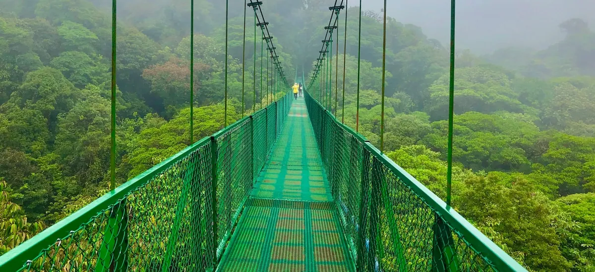 El Bosque Nuboso de Monteverde, un santuario clave de biodiversidad en Costa Rica