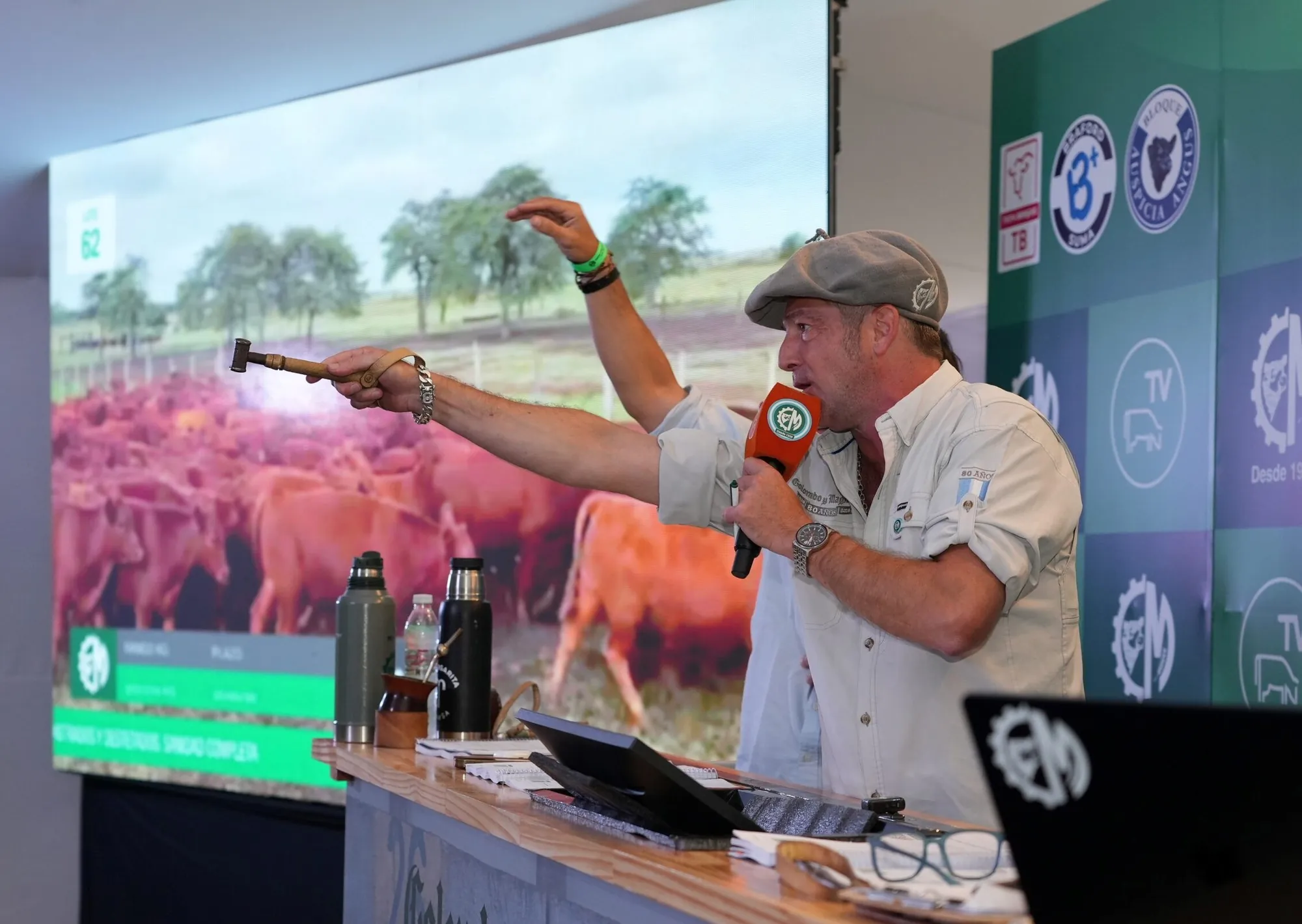 Los remates de hacienda rompieron todos los récords en el autódromo
