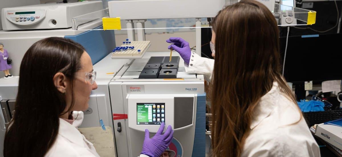 La innovación sanitaria como motor productivo