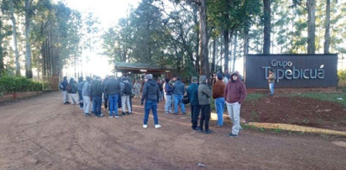 Crisis forestal en Corrientes: Tapebicuá entró en concurso preventivo y los trabajadores amenazan con cortar la Ruta 14