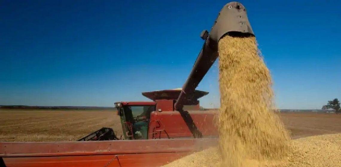 Néstor Roulet: “Seguir con este esquema de retenciones es muy difícil”