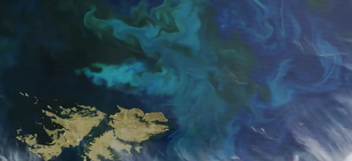 Islas Malvinas: un funcionario de Milei rechazó los festejos británicos por el “Falklands Day”